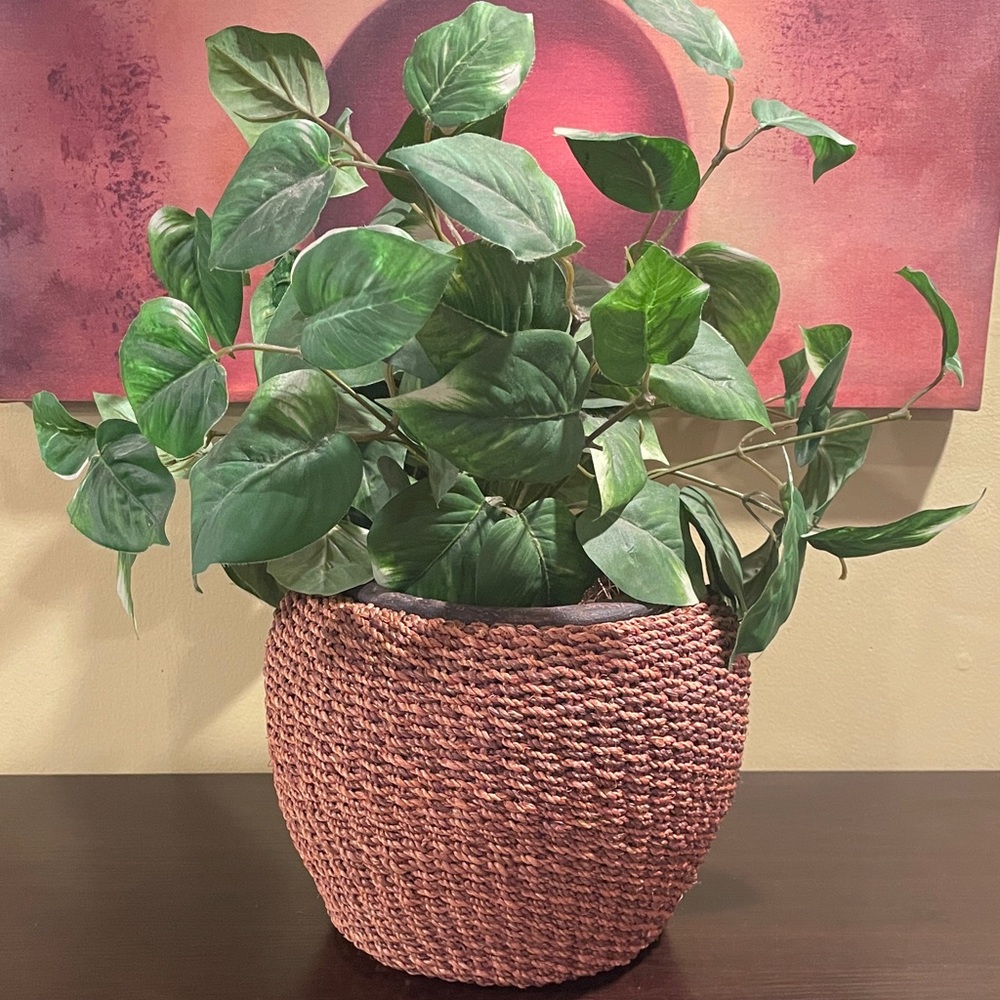 Woven Planter